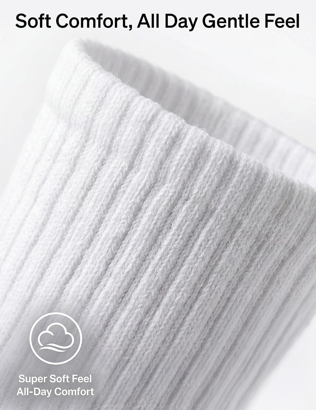 HUE Women's Mini Crew Sock 6-pack